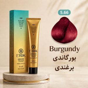 رنگ مو ایتوک 5.66 | بورگاندی