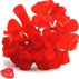 رایحه گل شمعدانی Geranium note
